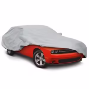 Cubierta para Auto Grande